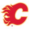 calgary flames betting odds - flames winning odds